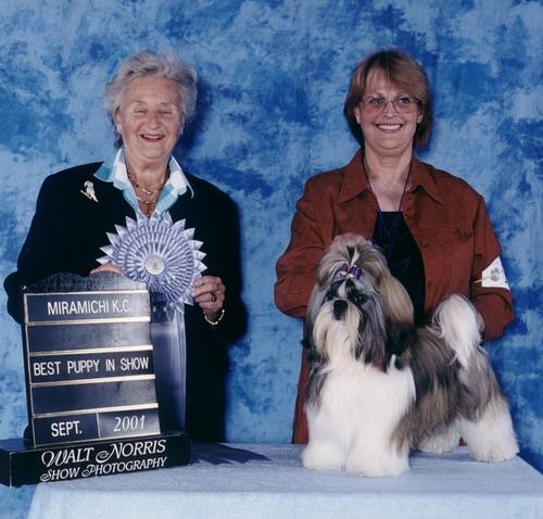 Loveboby Super Gaspar, à terminé sa vie de chien avec Mme Chantal et M. Serge Martineau.